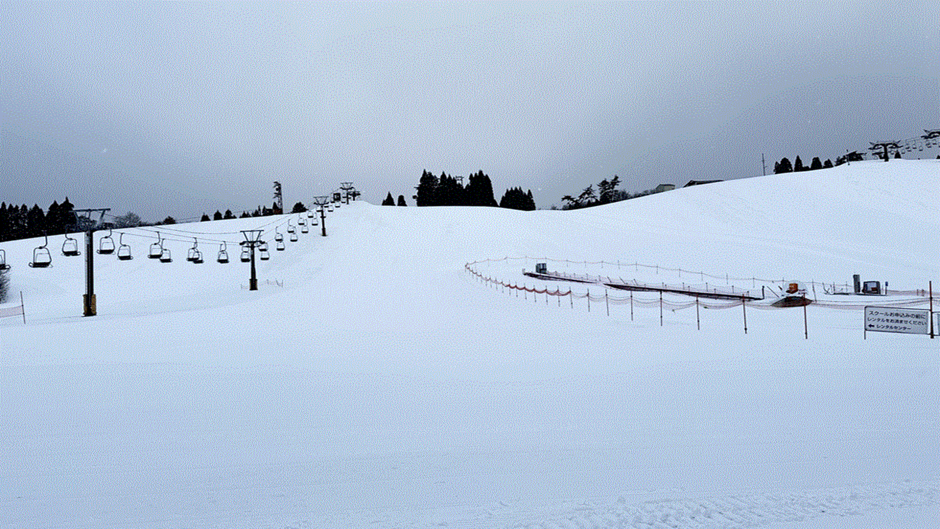 1月21日(水）本日も営業中♪
