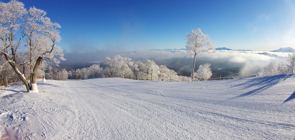 西日本最大級！標高1,600mの大絶景！最長5,000mを一気に滑り抜ける爽快感！|めいほうスキー場