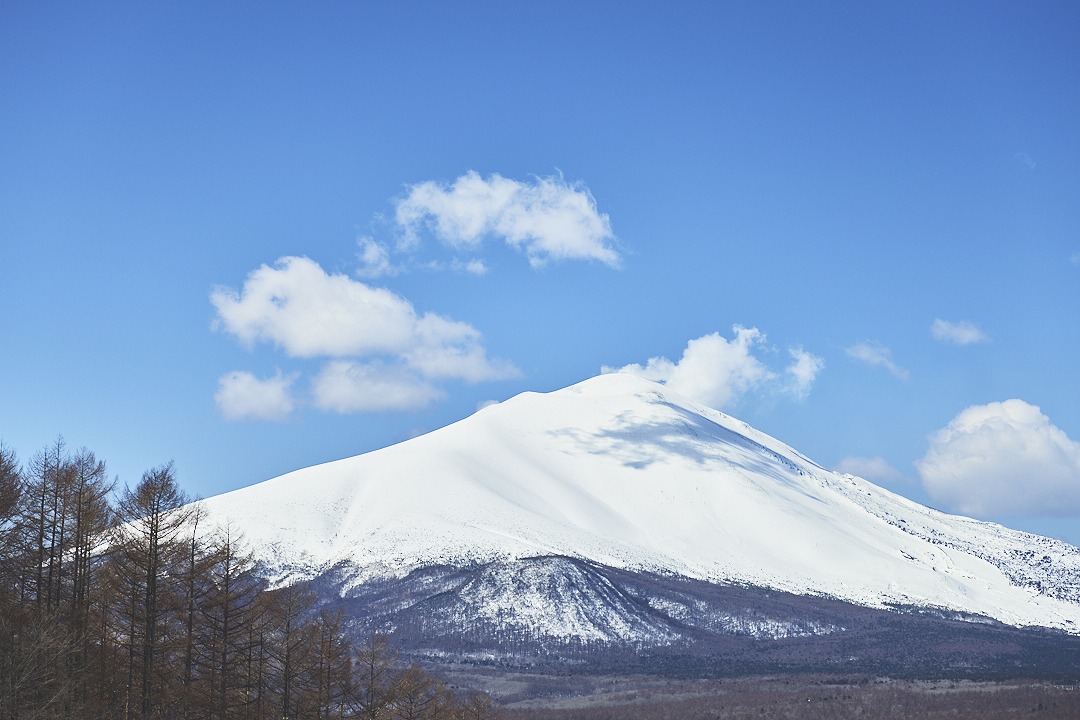 軽井沢スノーパークの若☆割デー (対象： 18~26歳)開催中♪