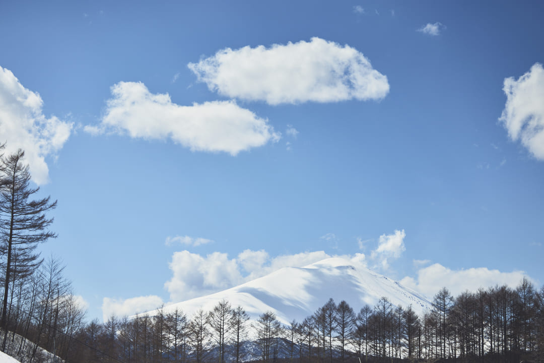 2026年1月15日（木） 全面滑走可能のお知らせ