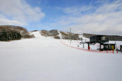 羽幌町民スキー場 びゅー