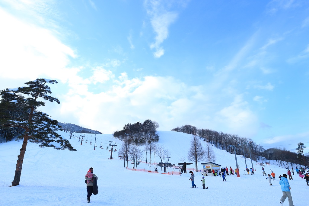 創遊村229スキーランド