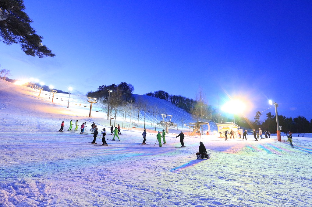 創遊村229スキーランド