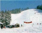 町営湯田スキー場
