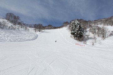 村上市 ぶどうスキー場