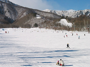 爺ガ岳スキー場