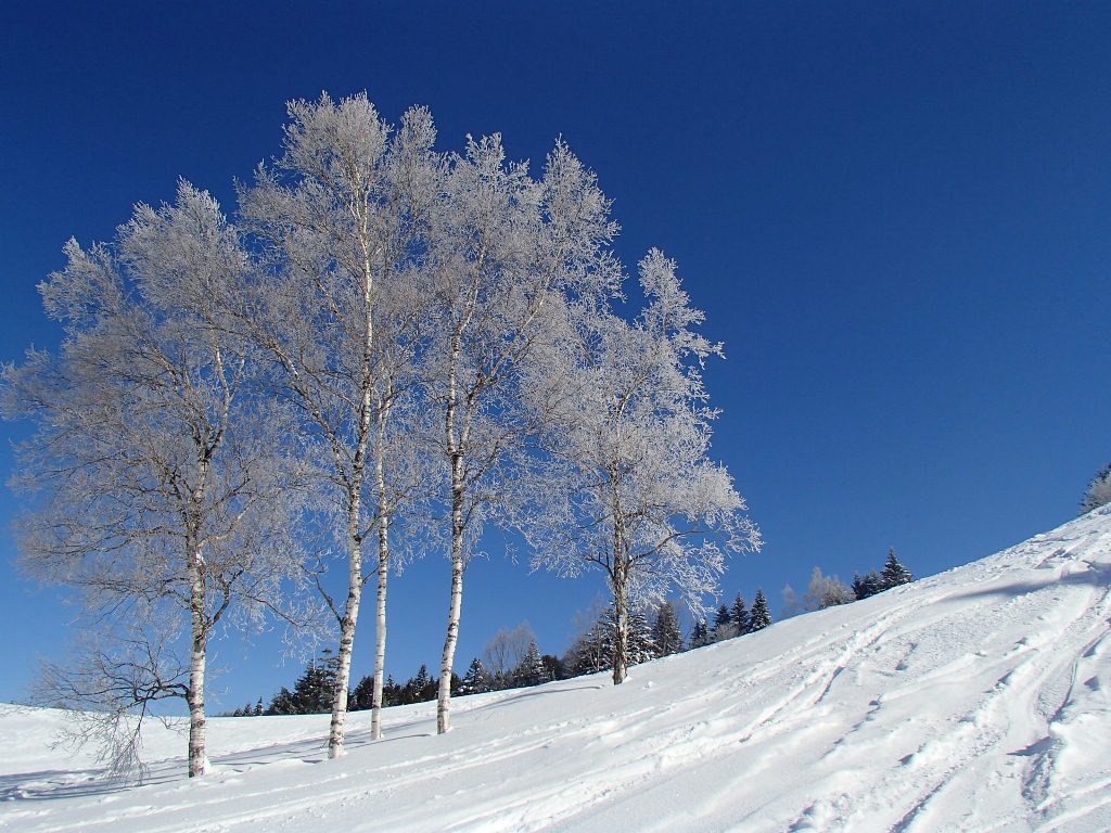 飛騨高山スキー場