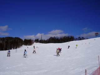 荘川高原スキー場