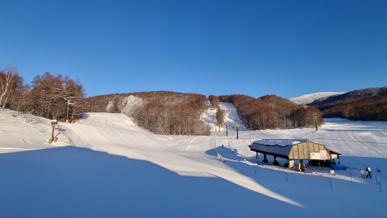 ゴンドラ・第1クワッドリフト営業！最長3,500m滑走可能！