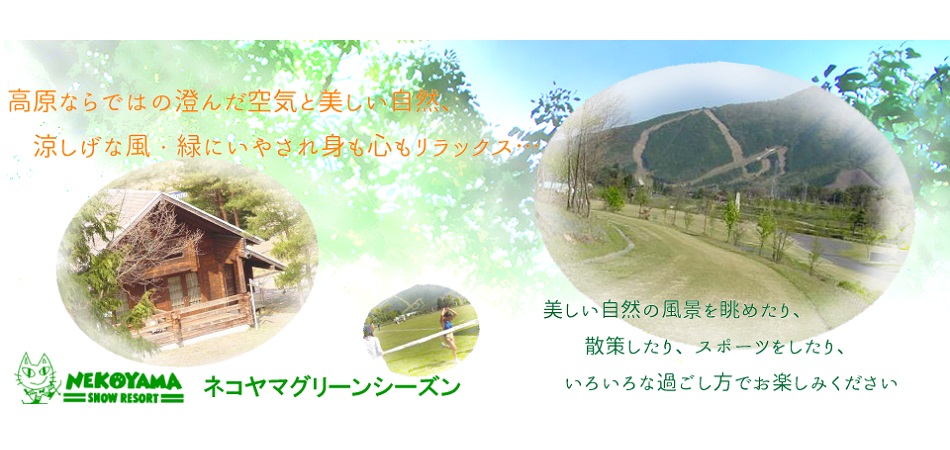 ログハウスで涼しく快適に！！