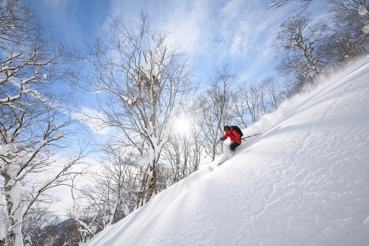 豪雪地帯”夏油高原で極上パウダーとツリーランを満喫！東北屈指の雪質