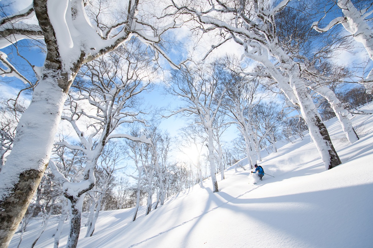 豪雪地帯”夏油高原で極上パウダーとツリーランを満喫！東北屈指の雪質