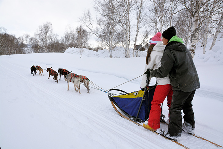 本州で唯一！みなかみで本格的な「犬ぞり」が体験できる！ - SURF&SNOW