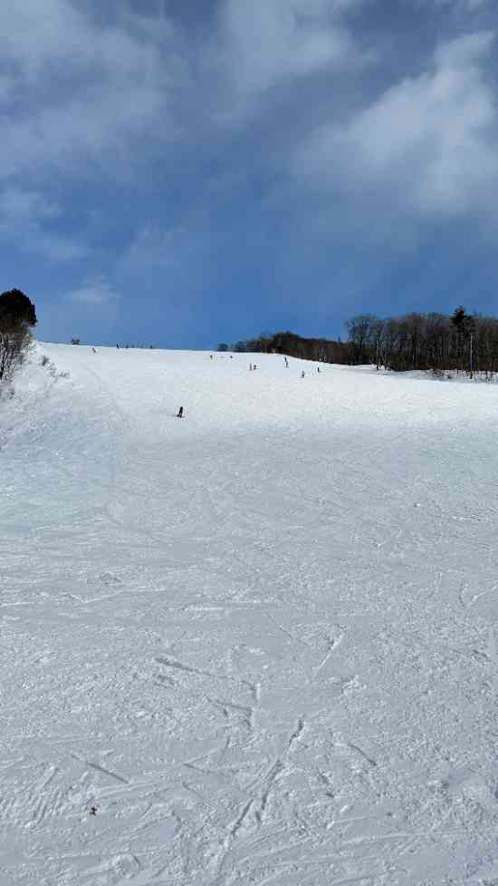 ゲレンデも大きく、コースも豊富です！|白馬岩岳スノーフィールドのクチコミ画像2