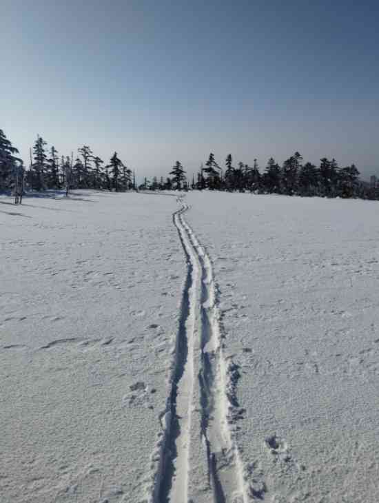 竜王ツアーコース