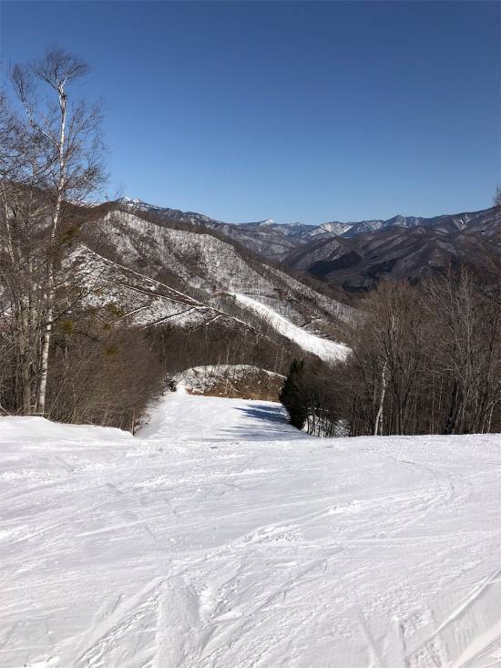 ワンダーランドかたしなレビューキャンペーン|のクチコミ画像