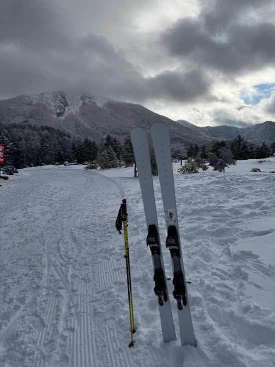 ワンダーランドかたしなレビューキャンペーン