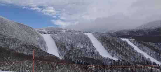 星野リゾート ネコマ マウンテン(旧アルツ磐梯＆猫魔スキー場）のフォトギャラリー1