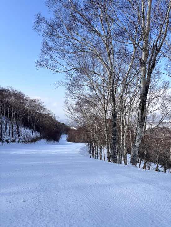 久々の来場|のクチコミ画像