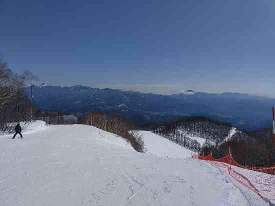 ワンダーランドかたしなレビューキャンペーン