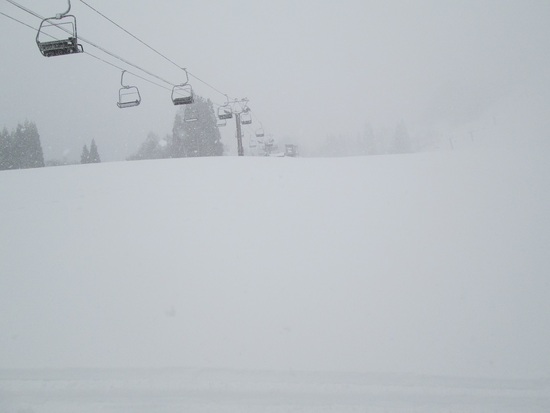 大雪でした|White Resort 白馬さのさかのクチコミ画像
