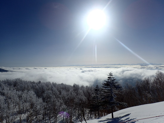 雲海！|志賀高原 焼額山スキー場のクチコミ画像