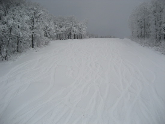 今年はまだ雪は少ないけどいい雪|阿仁スキー場のクチコミ画像