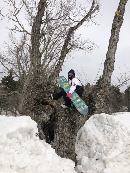 ユニークキッカー|会津高原南郷スキー場のクチコミ画像2