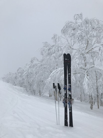 雪質最高！|ルスツリゾートのクチコミ画像
