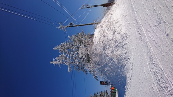 景色キレイ|菅平高原スノーリゾートのクチコミ画像3