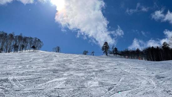 遊べるコースが多い|星野リゾート トマム スキー場のクチコミ画像2