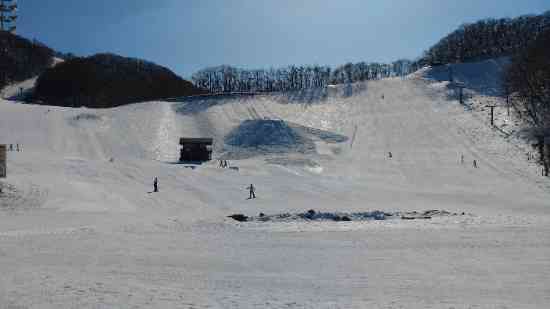 ワンダーランドかたしなレビューキャンペーン|スノーパーク尾瀬戸倉のクチコミ画像