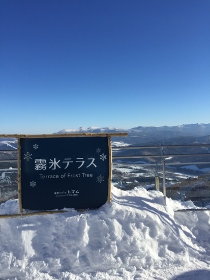 あのたい焼きが！|星野リゾート トマム スキー場のクチコミ画像