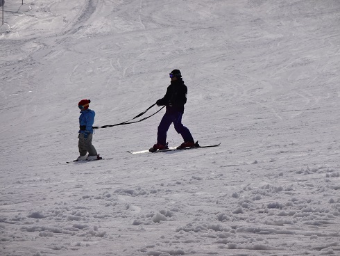 犬の散歩じゃないよ！|のクチコミ画像