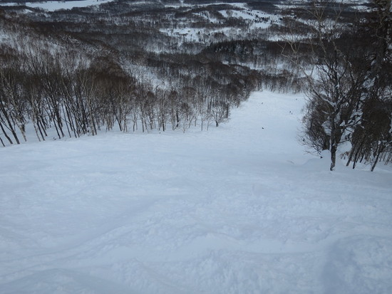 2015/01/18（日） 北海道　ニセコ・ハナゾノスキー場の速報|ニセコHANAZONOリゾートのクチコミ画像