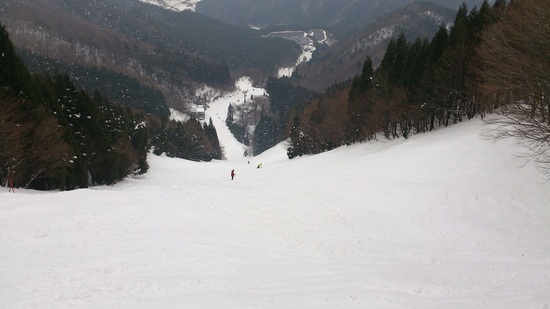 バスツアーで行きました|のクチコミ画像