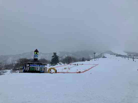 ものすごい緩斜面。|岩原スキー場のクチコミ画像