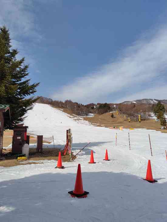 ワンダーランドかたしなレビューキャンペーン