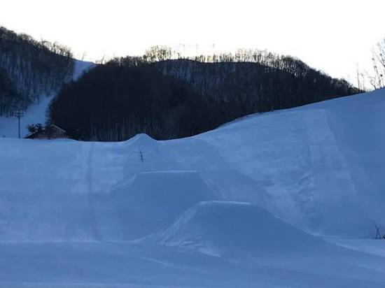 ワンダーランドかたしなレビューキャンペーン