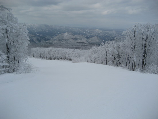 雪質Good!|阿仁スキー場のクチコミ画像