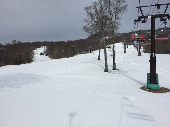 雪まあまあ|たんばらスキーパークのクチコミ画像