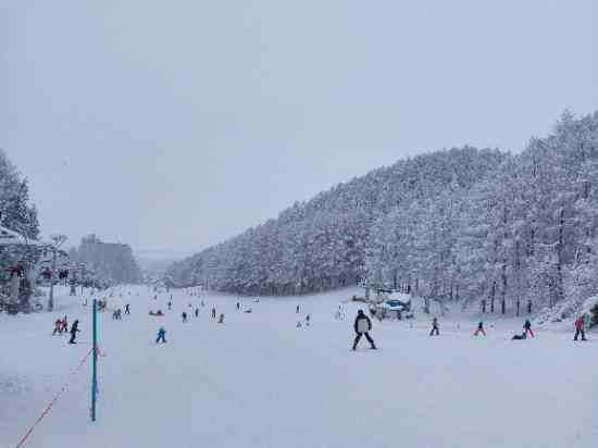 雪質は良かったです。|リステルスキーファンタジアのクチコミ画像