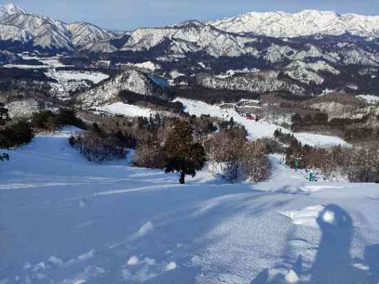 ダイナミック|三川・温泉スキー場のクチコミ画像