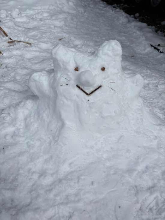 一歳と四歳の子どもと雪遊びへ「ワンダーランドかたしなレビューキャンペーン」|かたしな高原スキー場のクチコミ画像