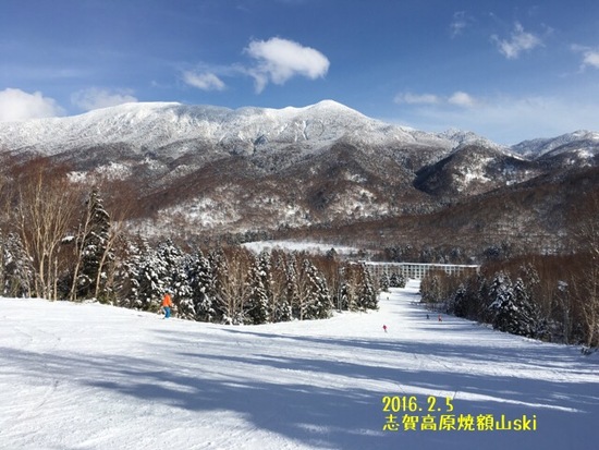 確かにステキなスキー場|志賀高原 焼額山スキー場のクチコミ画像
