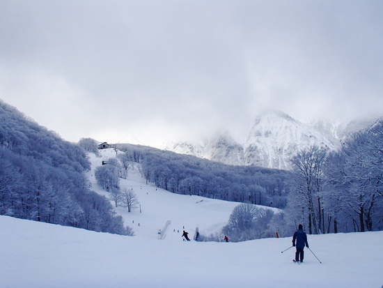 レストラン|Hakuba47 ウインタースポーツパークのクチコミ画像