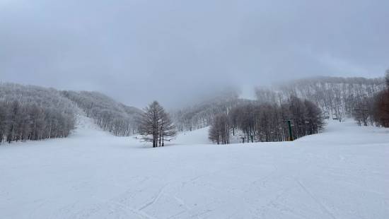 上級者コースは危険|斑尾高原スキー場のクチコミ画像