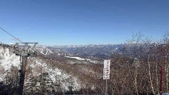 ワンダーランドかたしなレビューキャンペーン