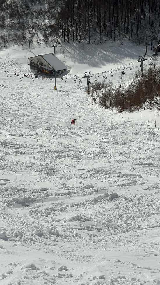 ワンダーランドかたしなレビューキャンペーン|オグナほたかスキー場のクチコミ画像2