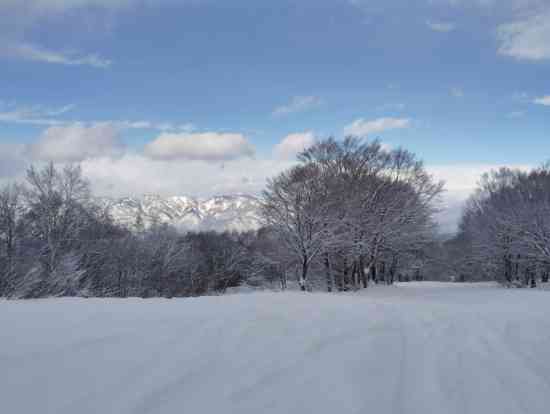 大雪警報|野沢温泉スキー場のクチコミ画像